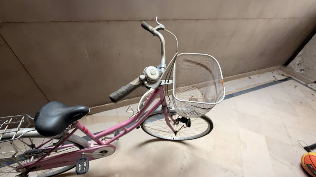Pink Cycle 1