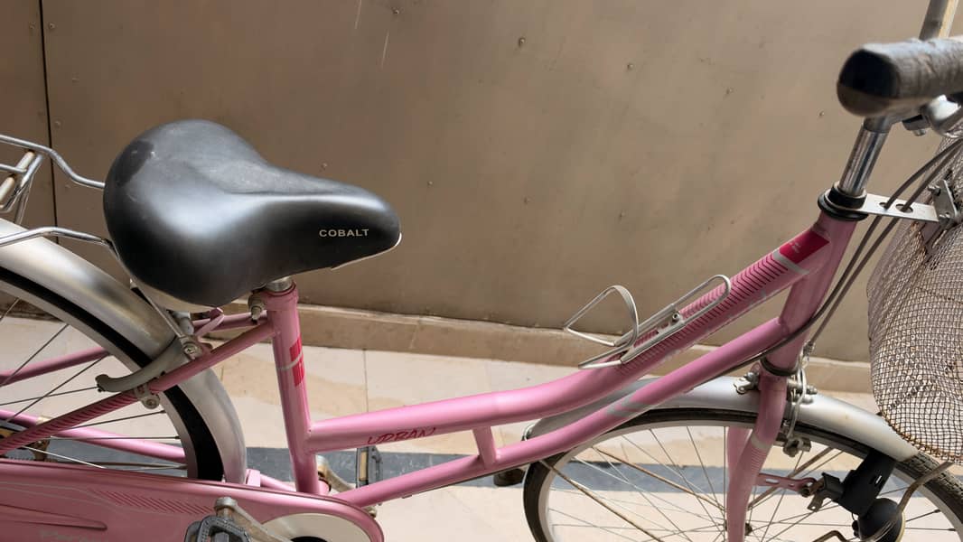 Pink Cycle 2