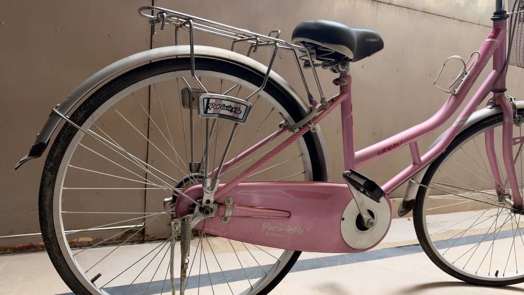 Pink Cycle 3
