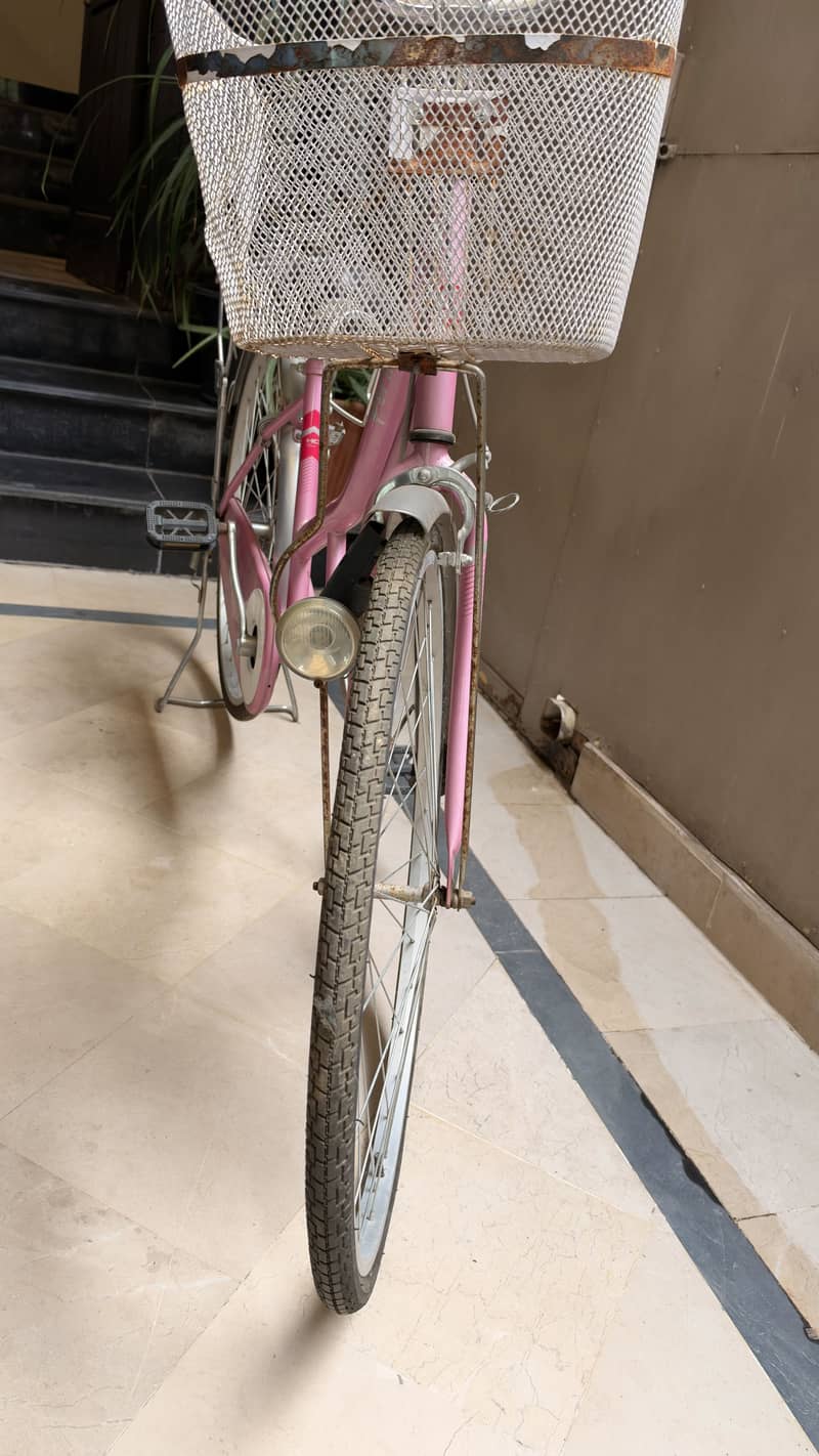 Pink Cycle 4