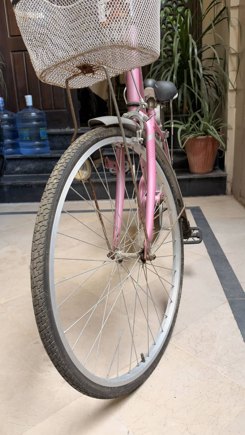 Pink Cycle 5
