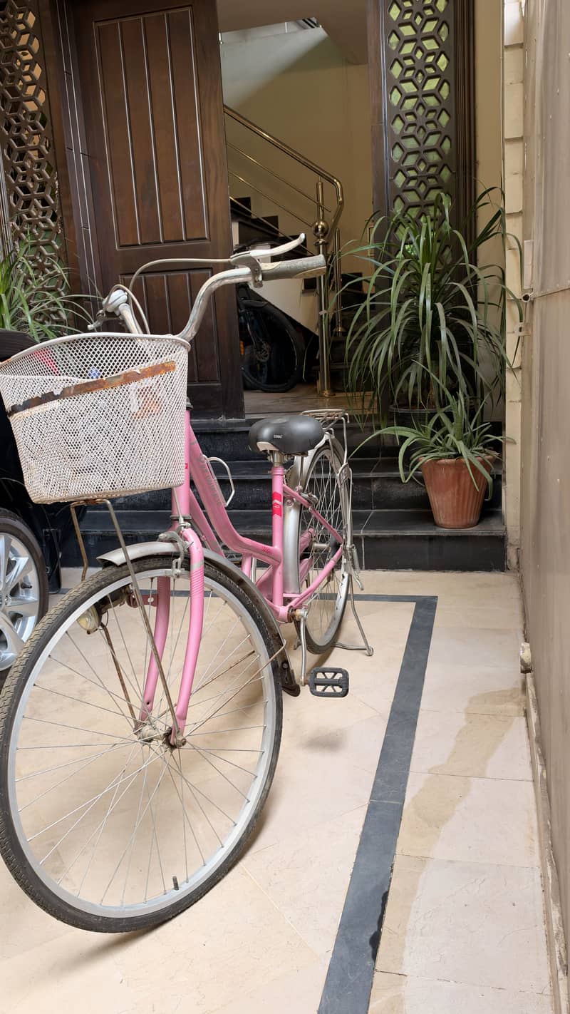 Pink Cycle 6