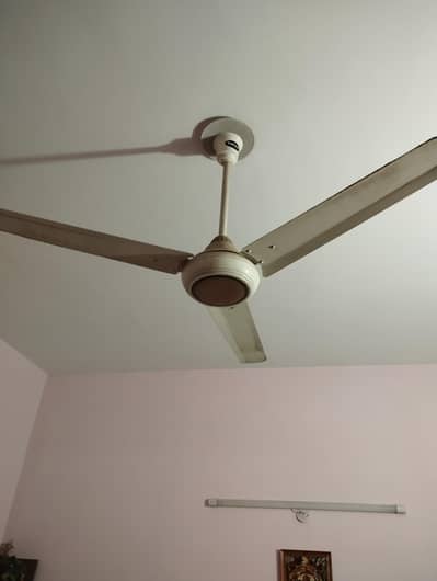 Fans for sale