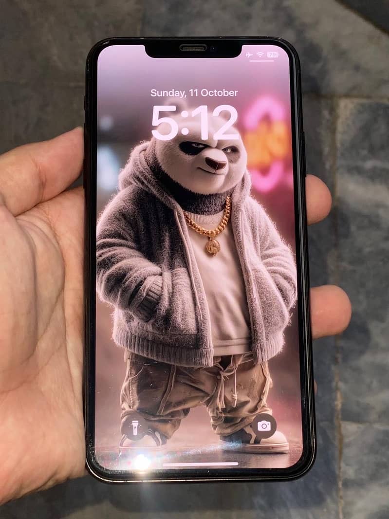 IPhone 11 Pro Max 0