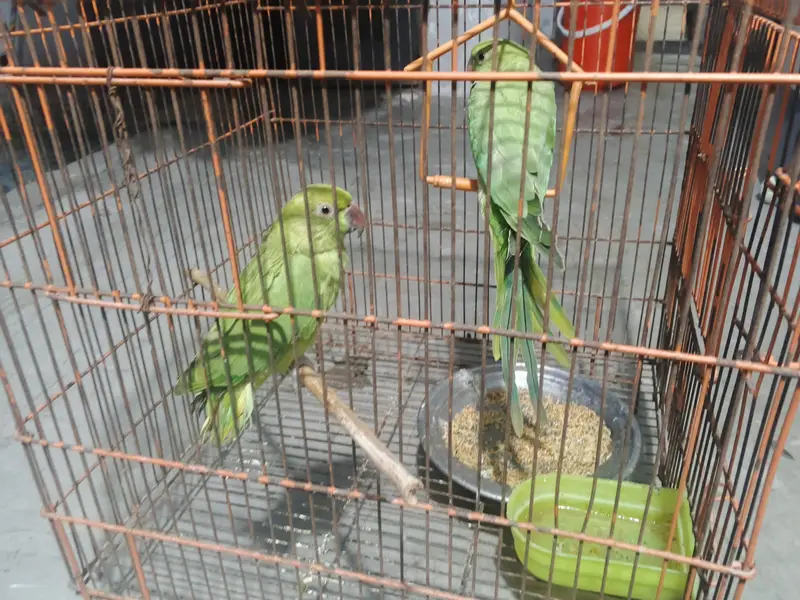 urgent sale — photo 2