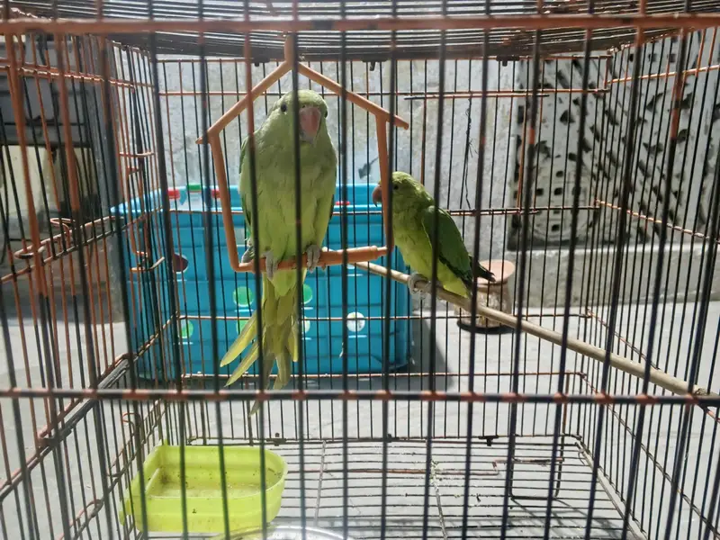 urgent sale — photo 3
