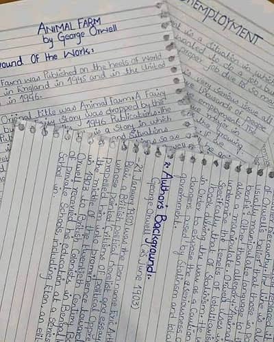 Assignment Writing, Typing & PowerPoint Presentation Services