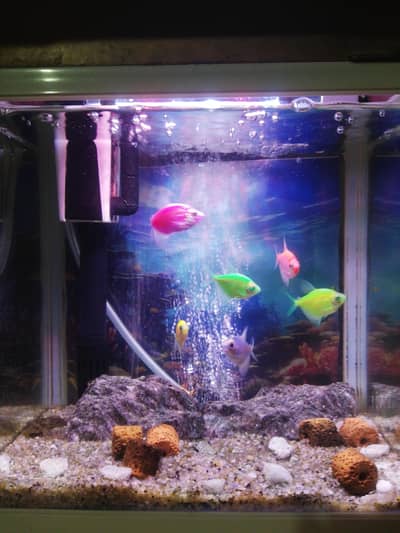3D Aquarium