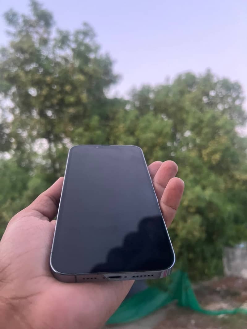 Apple iPhone 13 Pro Max 2