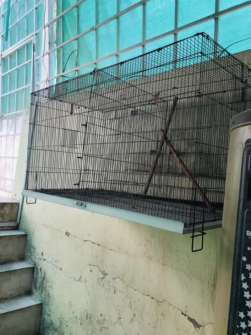 Cages for sale Condition 10/10 — photo 2