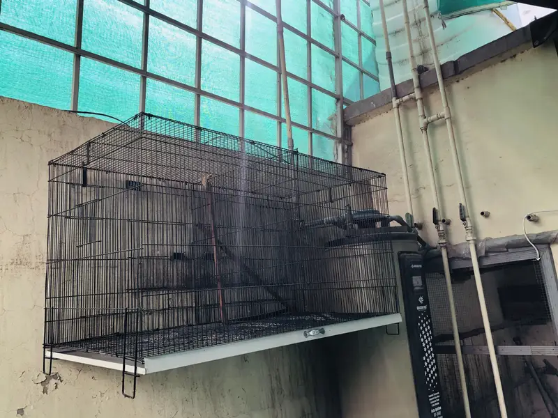 Cages for sale Condition 10/10 — photo 3
