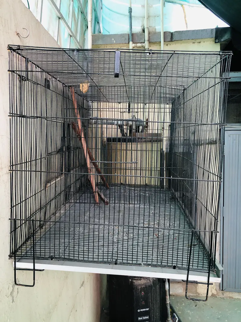 Cages for sale Condition 10/10 — photo 4
