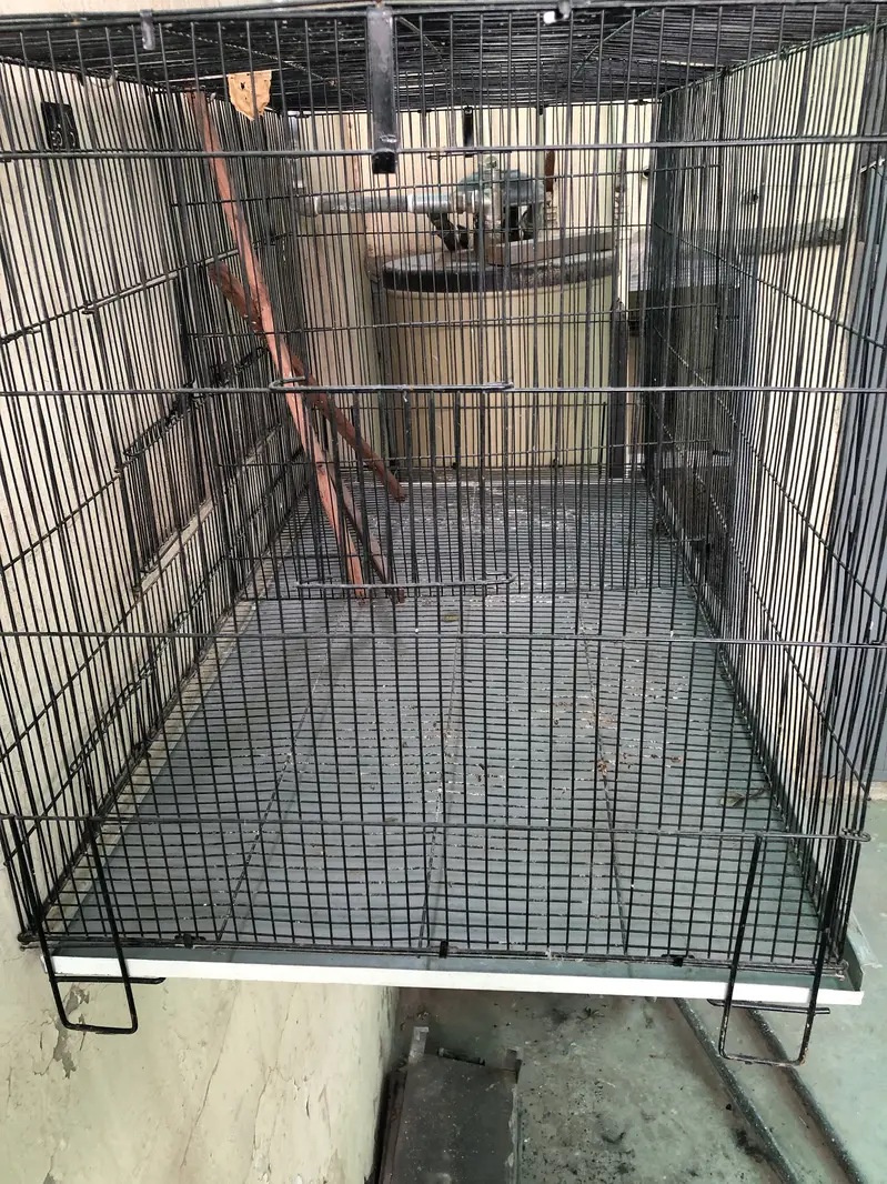 Cages for sale Condition 10/10 — photo 5