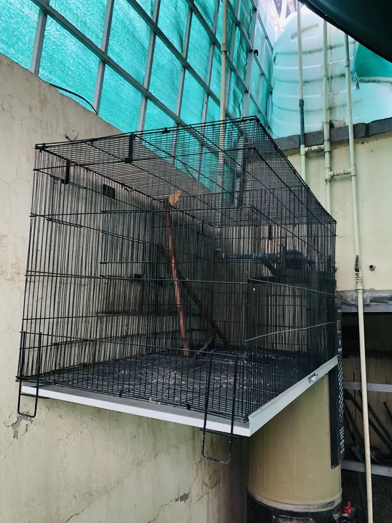 Cages for sale Condition 10/10 — photo 6