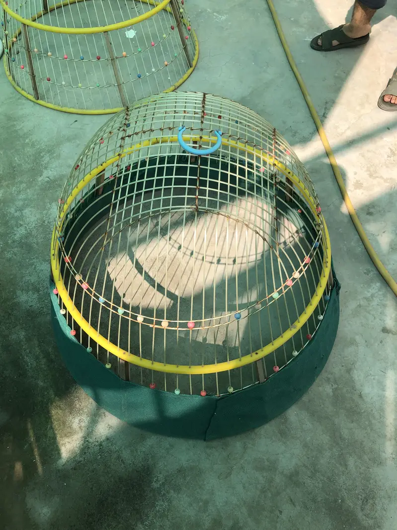 Cages for sale Condition 10/10 — photo 8