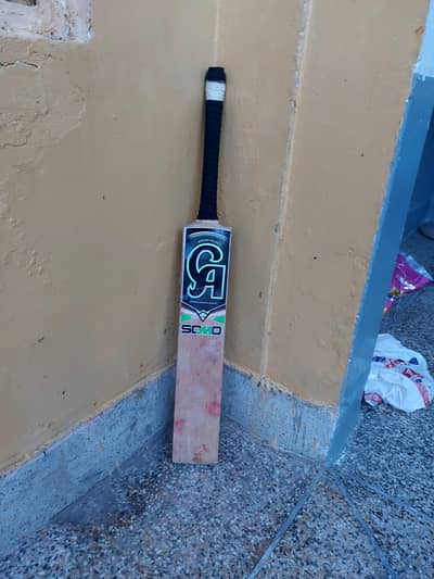 Cricket bat