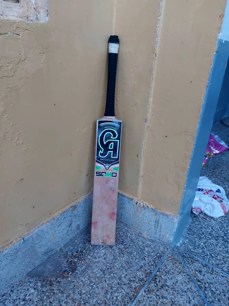 Cricket bat 0
