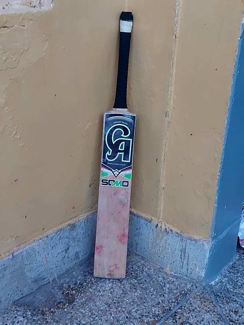 Cricket bat 1
