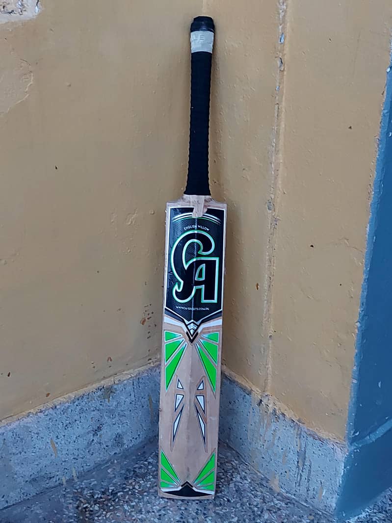 Cricket bat 2