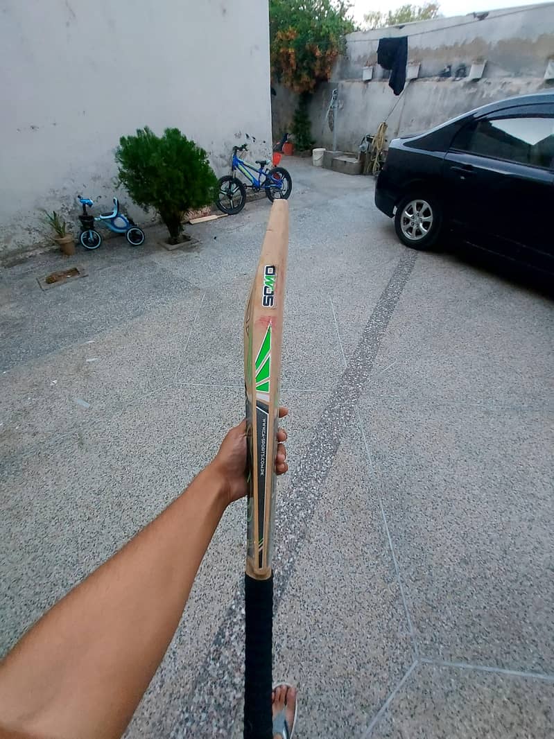 Cricket bat 3