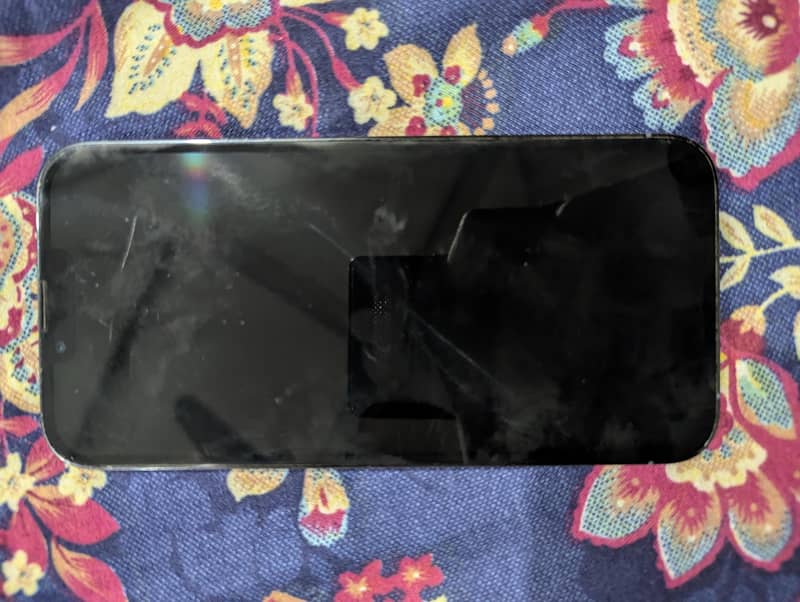 Apple iPhone 13 Pro Max 2