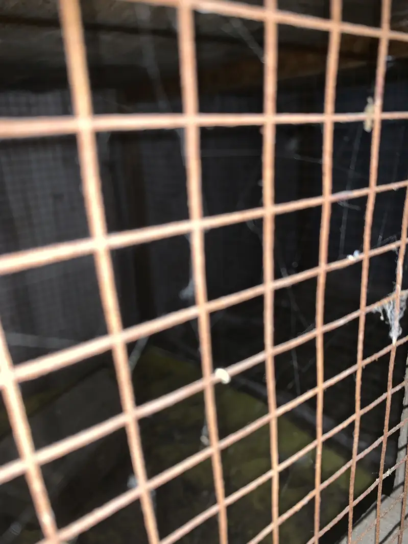 Hen and pegion cage — photo 3