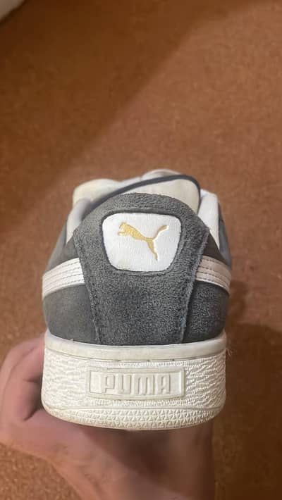 UMA Suede Classic Grey/White sneakers for sale