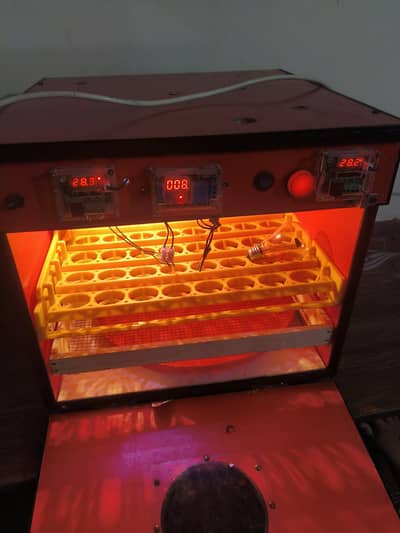 56 eggs incubator Automatic