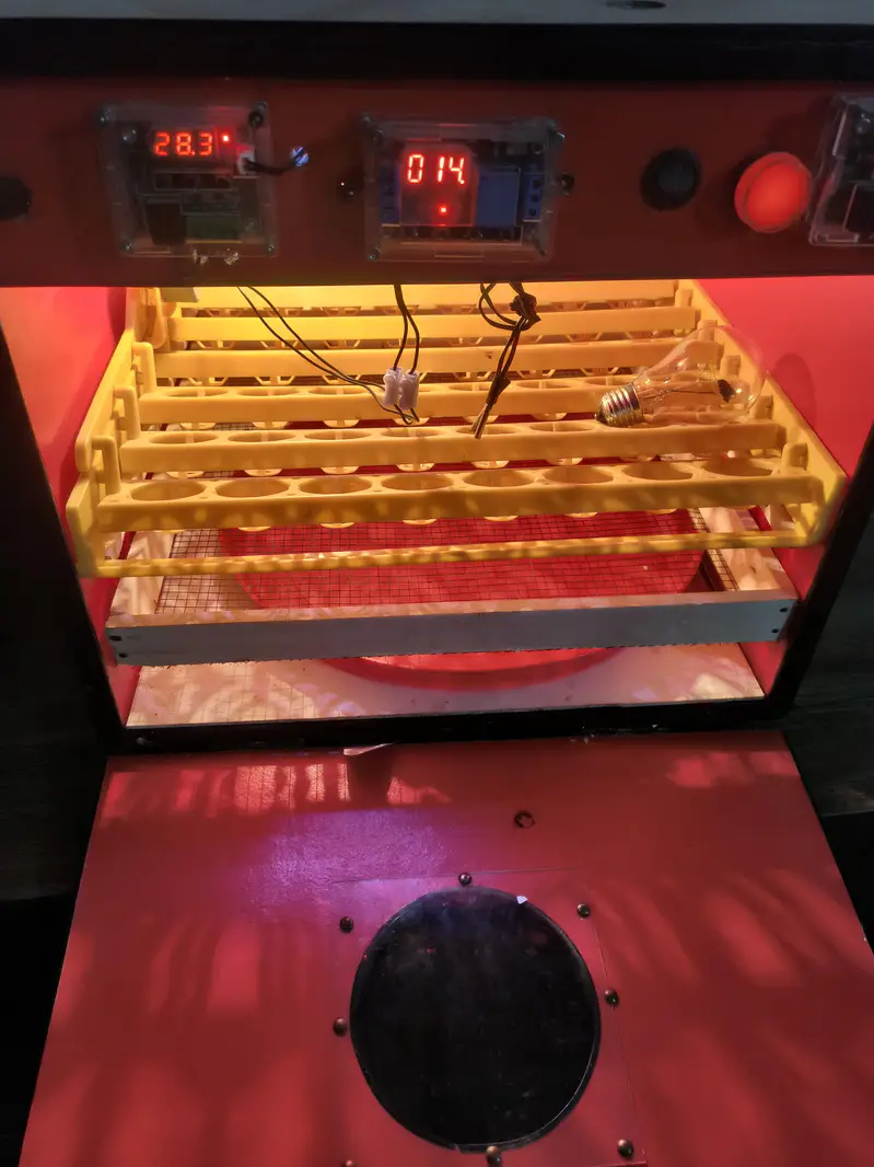 56 eggs incubator Automatic — photo 2