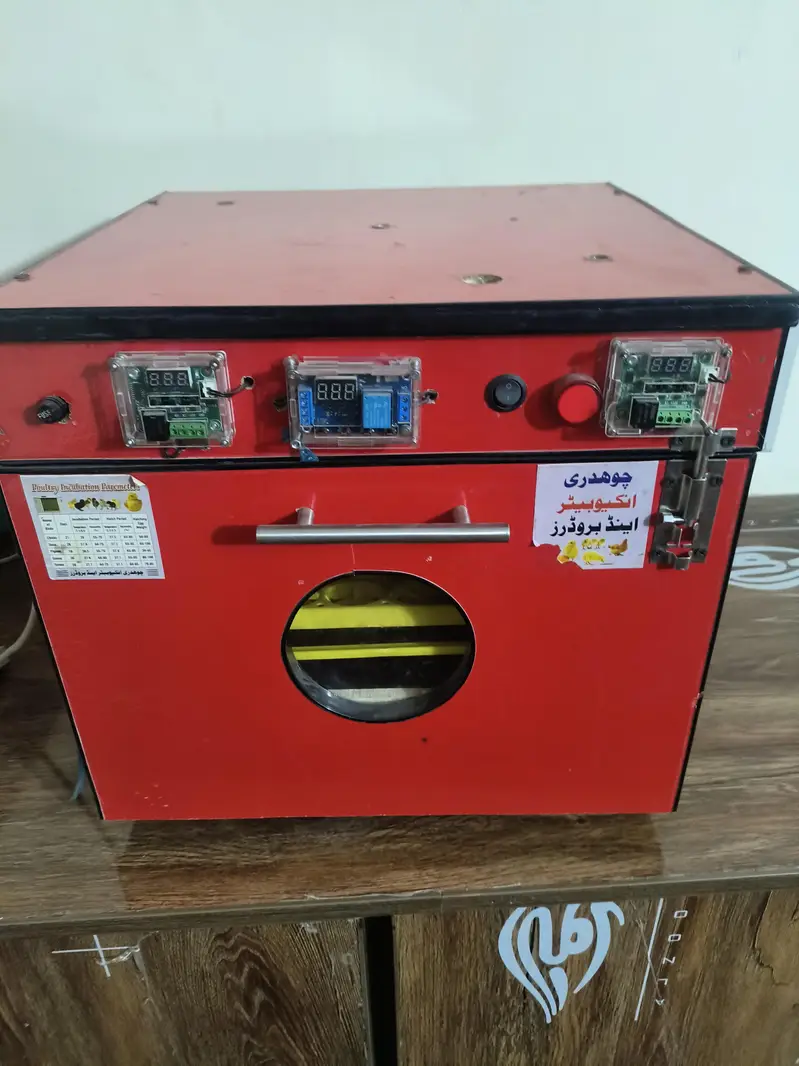 56 eggs incubator Automatic — photo 3