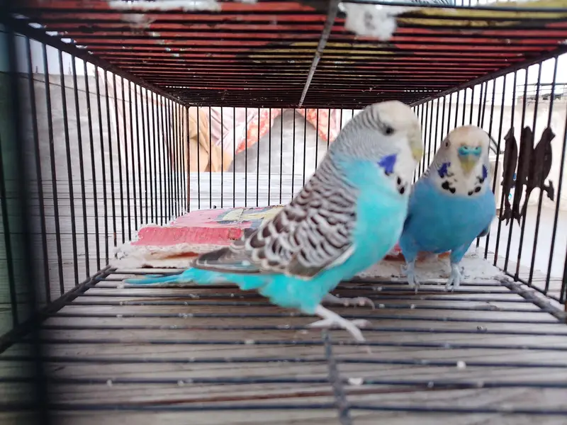 exhibition Working Pair — photo 5