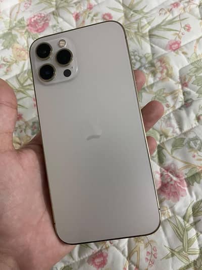 Apple iPhone 12 Pro Max