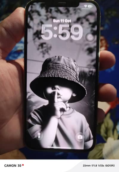 Apple iPhone 12 Pro Max