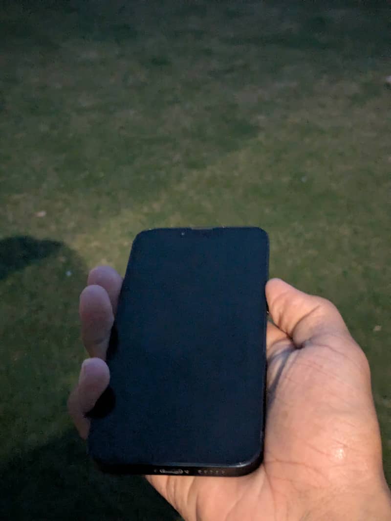 Apple iPhone 13 0