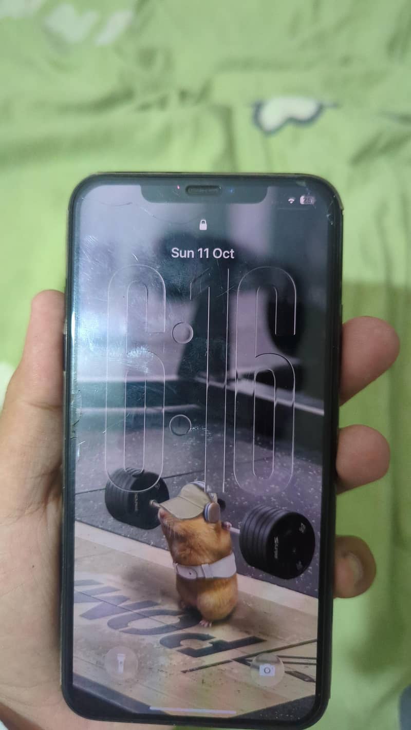 Apple iPhone 11 Pro Max 1