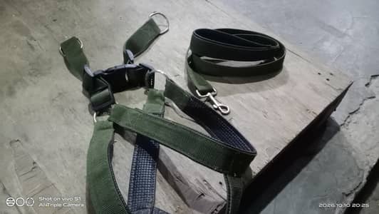 dog chest &  coller belt