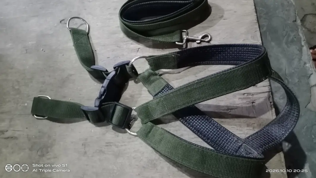 dog chest &  coller belt — photo 2