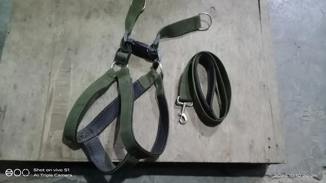 dog chest &  coller belt — photo 3