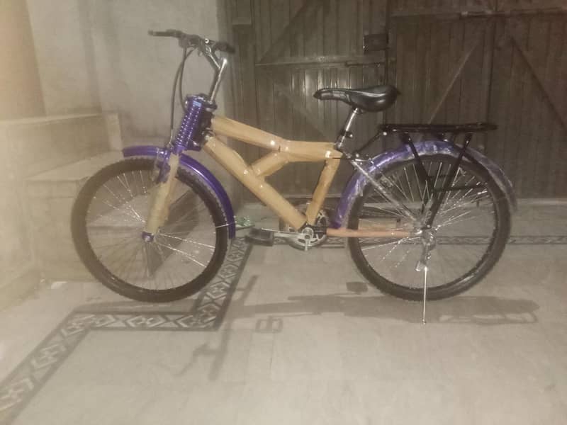 bicycle 1