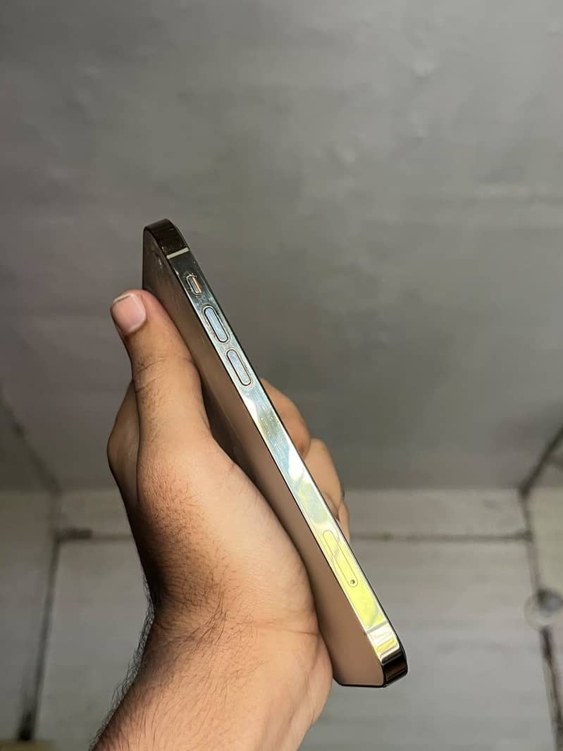 Apple iPhone 12 Pro 3