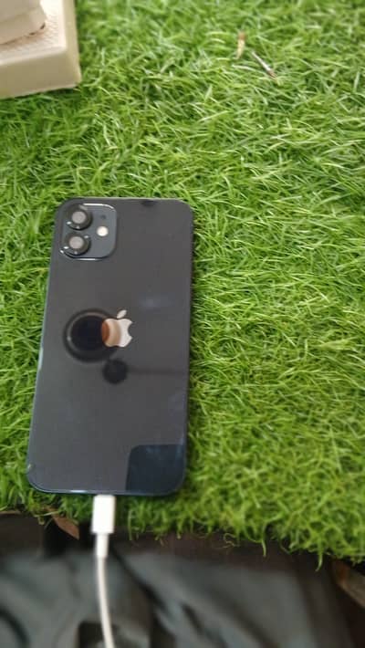 Apple iPhone 12