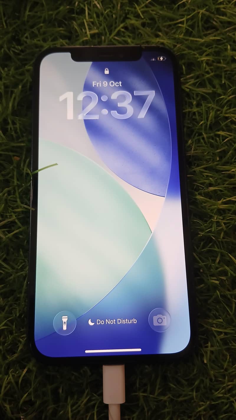 Apple iPhone 12 1