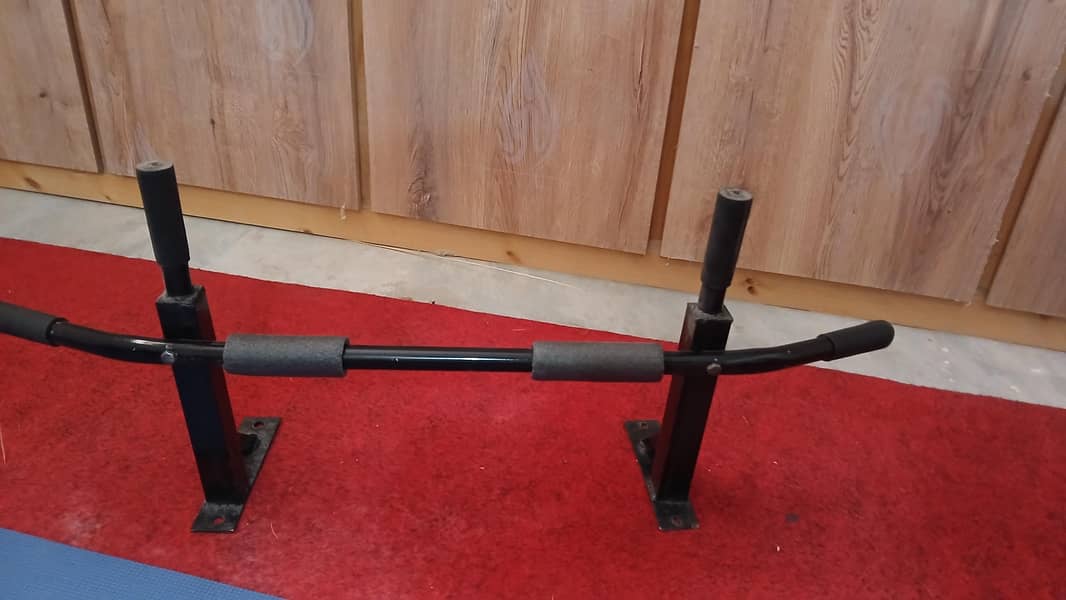 New pullup bar. 1