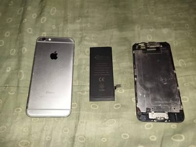 iPhone 6
