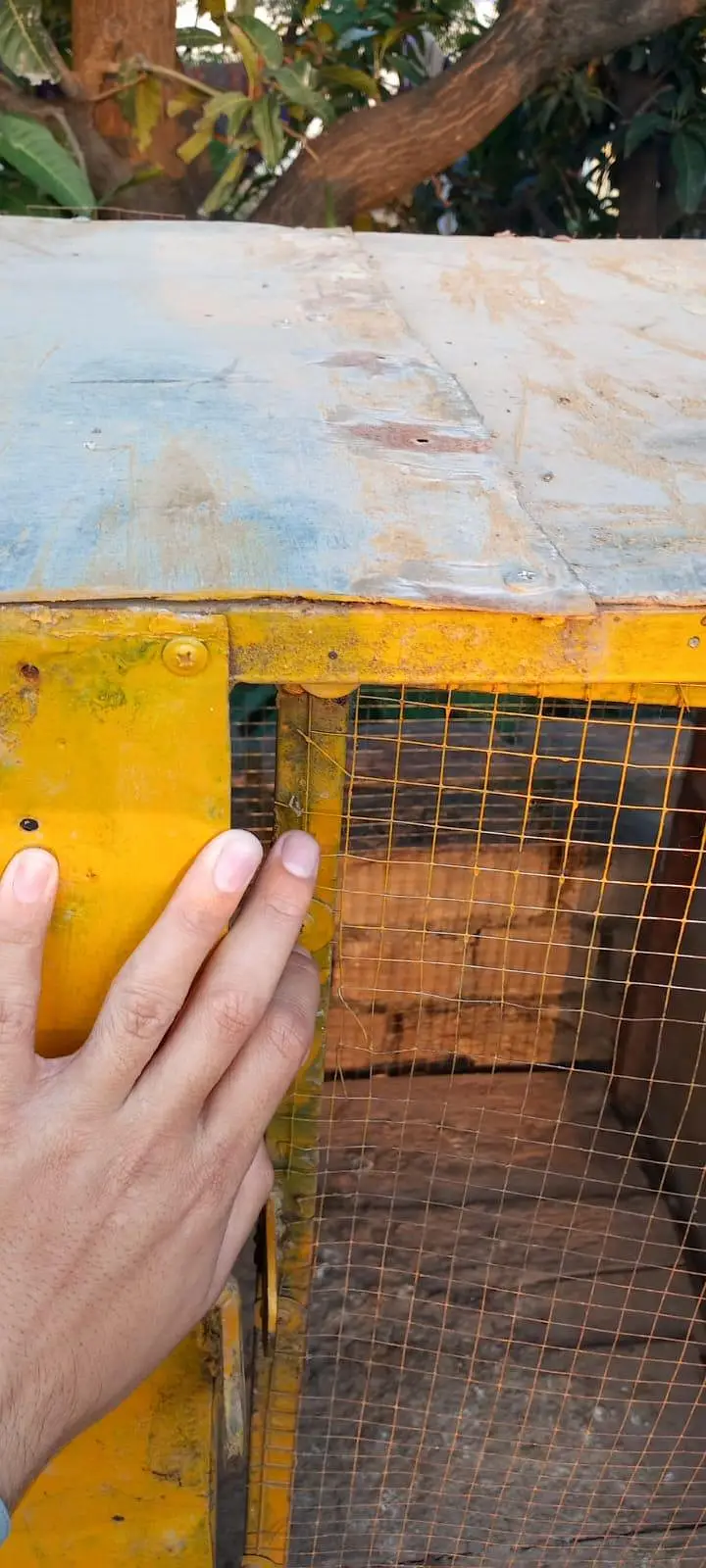 Aseel Cages — photo 2