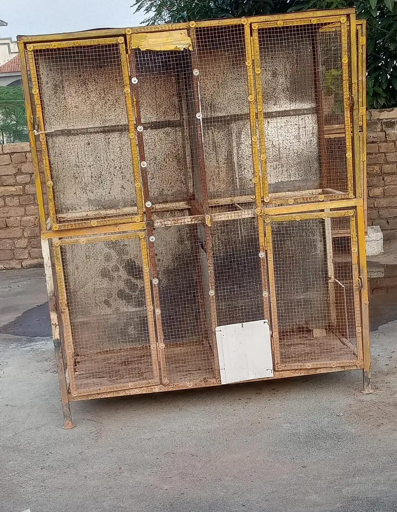 Aseel Cages — photo 3