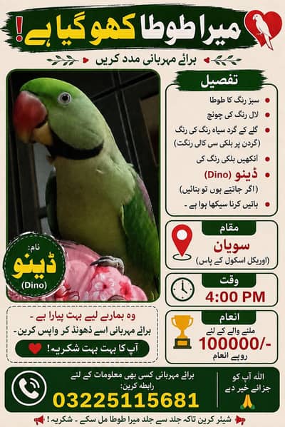 Please help me find dino