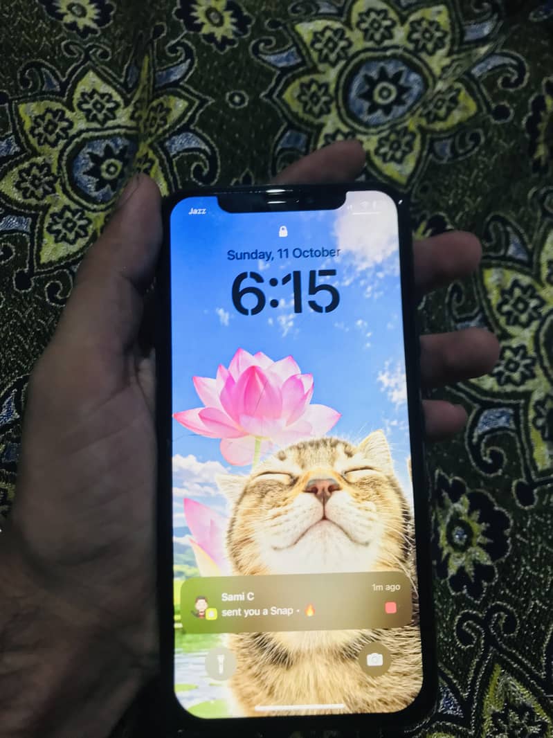 Apple iPhone X 1
