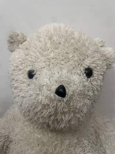 CUTE TEDDY BEAR FOR SALE