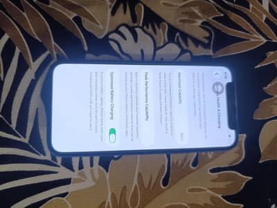 Apple iPhone 12 mini